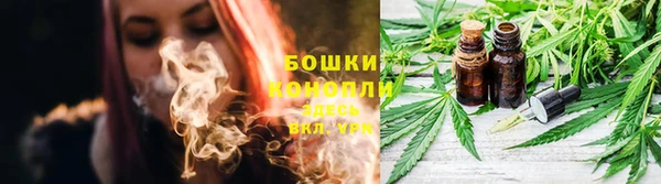 дживик Аркадак