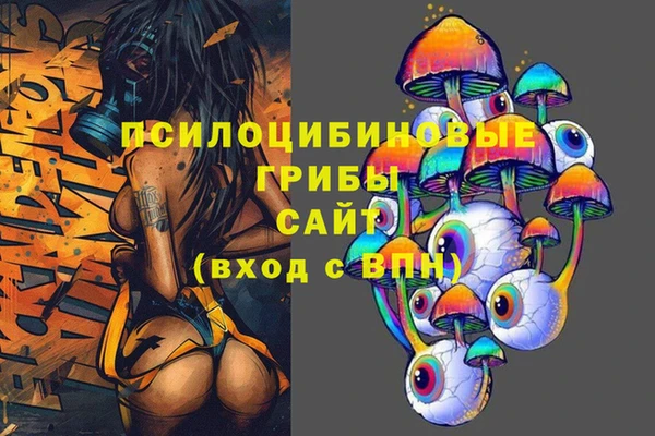 дживик Аркадак