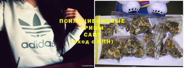 бошки Арсеньев