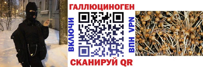 Галлюциногенные грибы Cubensis  Фатеж 