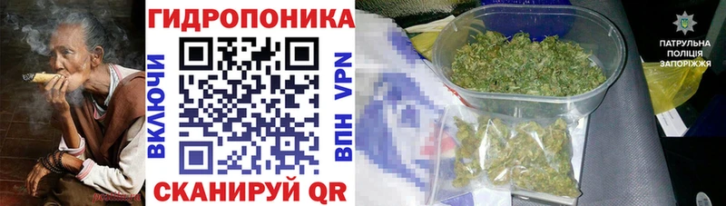Шишки марихуана семена  Фатеж 